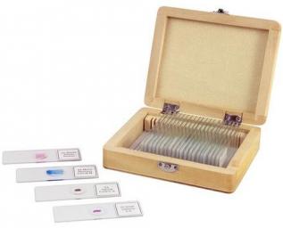 Celestron 25 Piece Prepared Microscope Slide Kit Photo