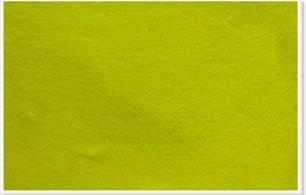 Parrot 600 x 450mm Plastic Frame Felt Info Board - Yellow Photo