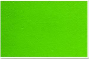 Parrot 900 x 600mm Plastic Frame Felt Info Board - Lime Green Photo