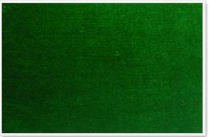 Parrot 900 x 600mm Plastic Frame Felt Info Board - Green Photo