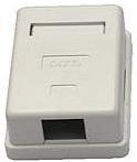Unbranded CAT6 Single Wall Box Photo