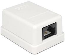 Unbranded RJ45 CAT6 Wall Box Shell Photo