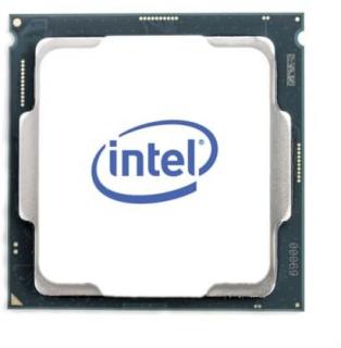 Intel Tray Pentium Gold G6400 4.00GHz No Fan Processor (CM8070104291810) Photo